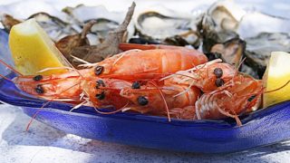甲殻類アレルギー 食物アレルギーっ子達とのほっとライフ